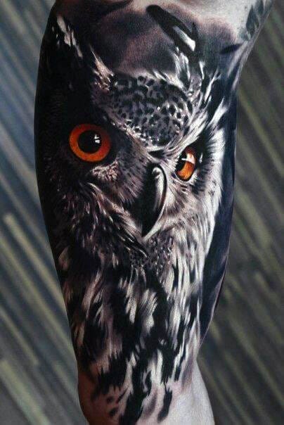Owl Tattoo png images  PNGEgg